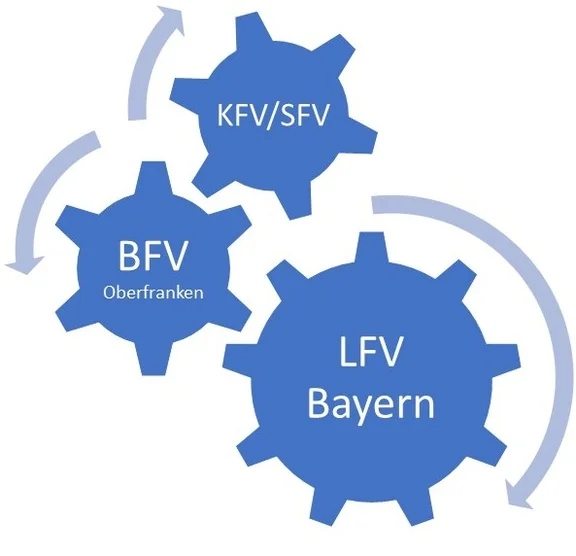 BFV_LFV.jpg